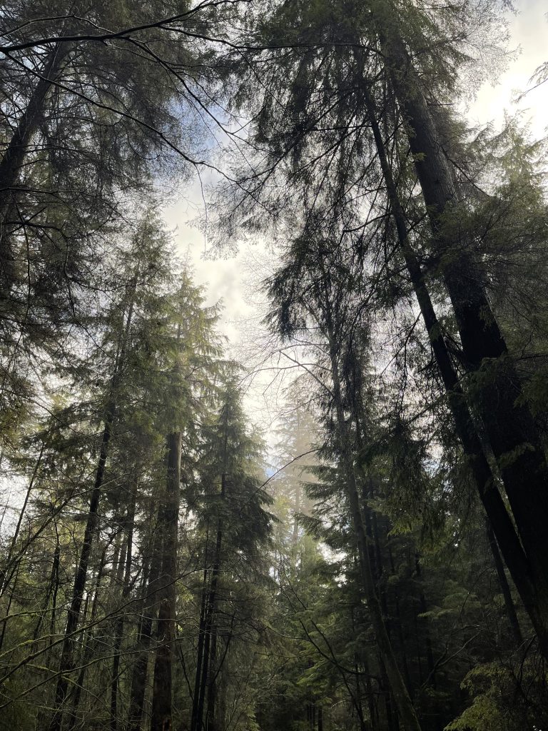 Becoming Disillusioned